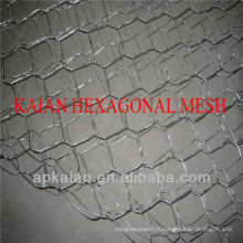 Gabions de maille hexagonale à double torsion de Hebei Anping KAIAN